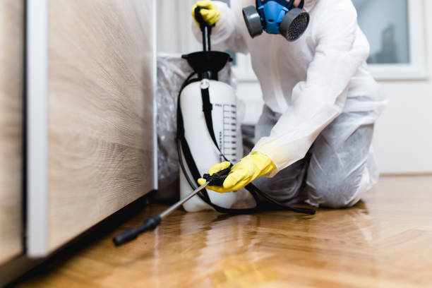 Best Residential Pest Control  in Harbour Heights, FL