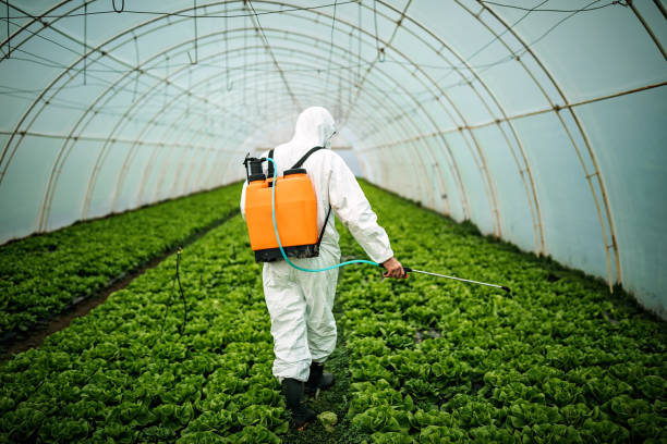 Reliable Harbour Heights, FL Pest Control Solutions