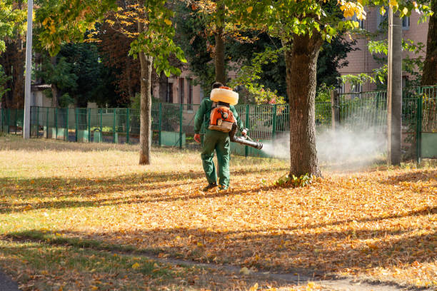 Best Mosquito Control Services  in Harbour Heights, FL